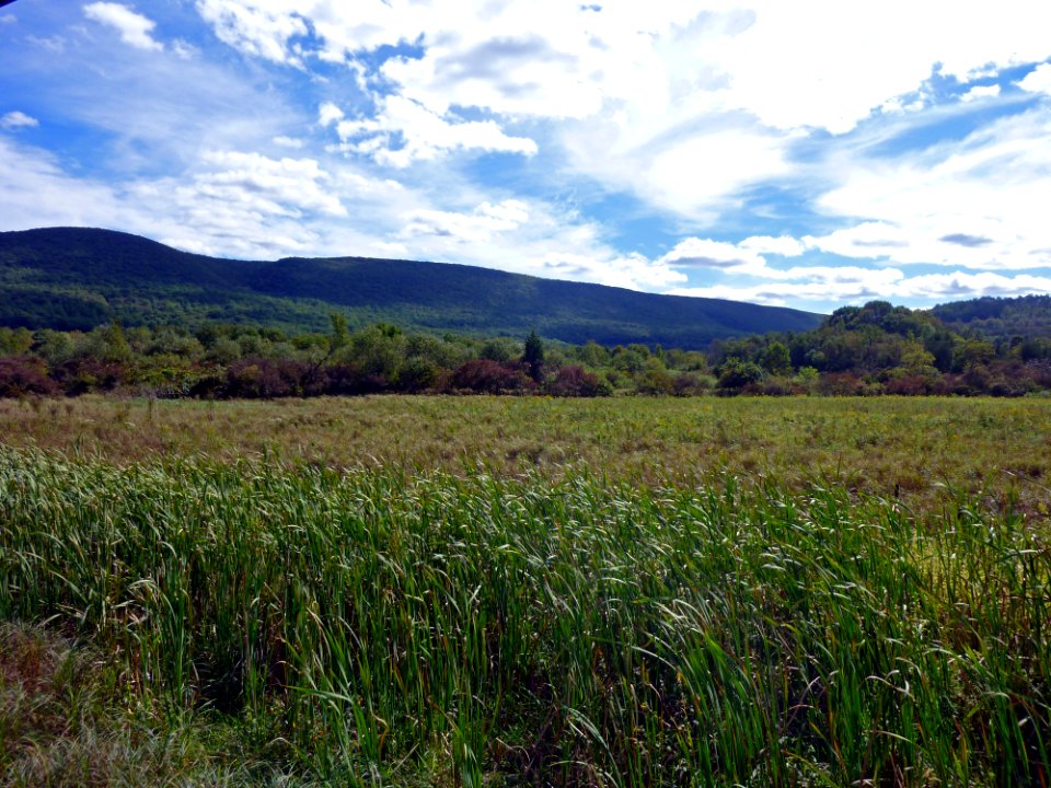 Cherry Valley National Wildlife Refuge