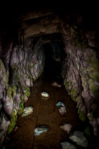 Historic Mine Shaft in Glacier's Backcountry