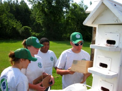 YCC crew helping to check purple martin houses