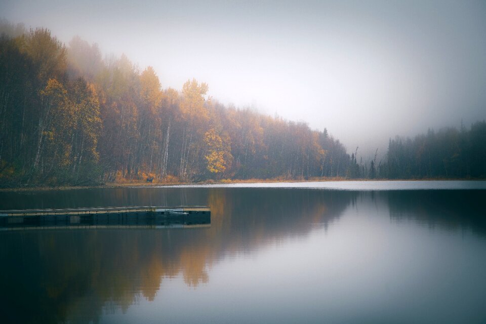 Reflection woods forest