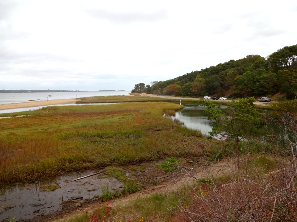 Adjacent tidal marshland near Muddy Creek