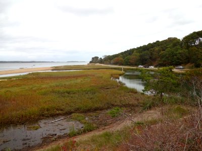 Adjacent tidal marshland near Muddy Creek