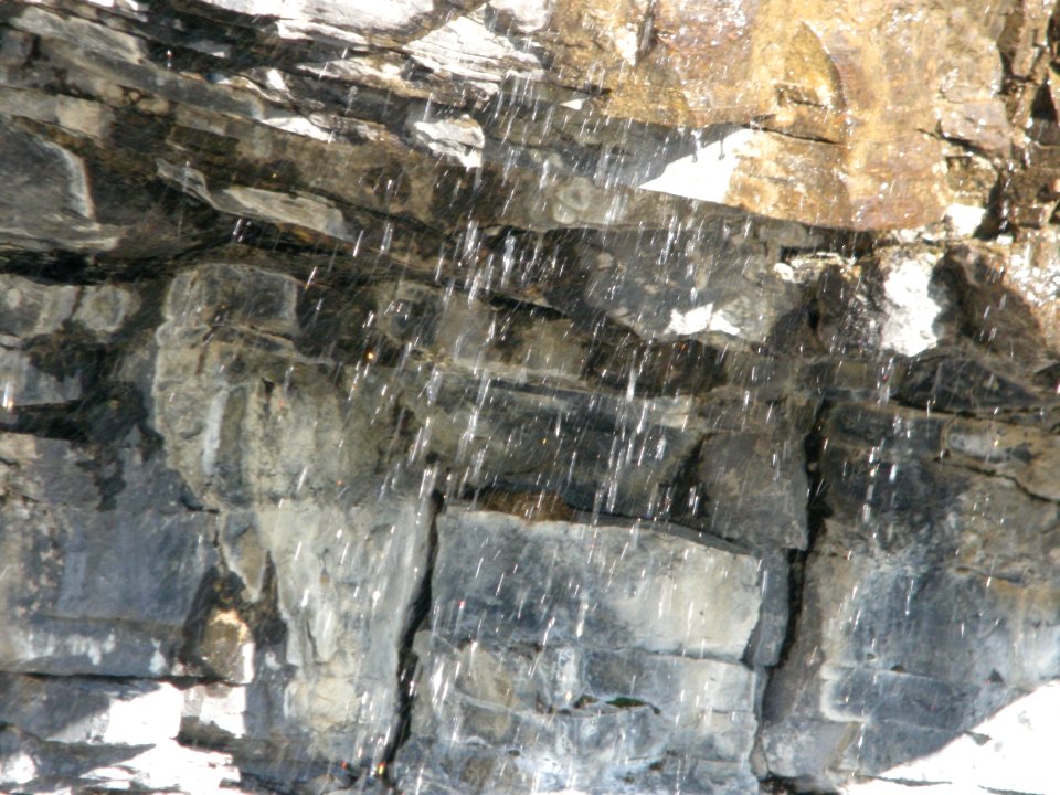 Black Swift nest with egg, Glacier NP, July 5, 2012
