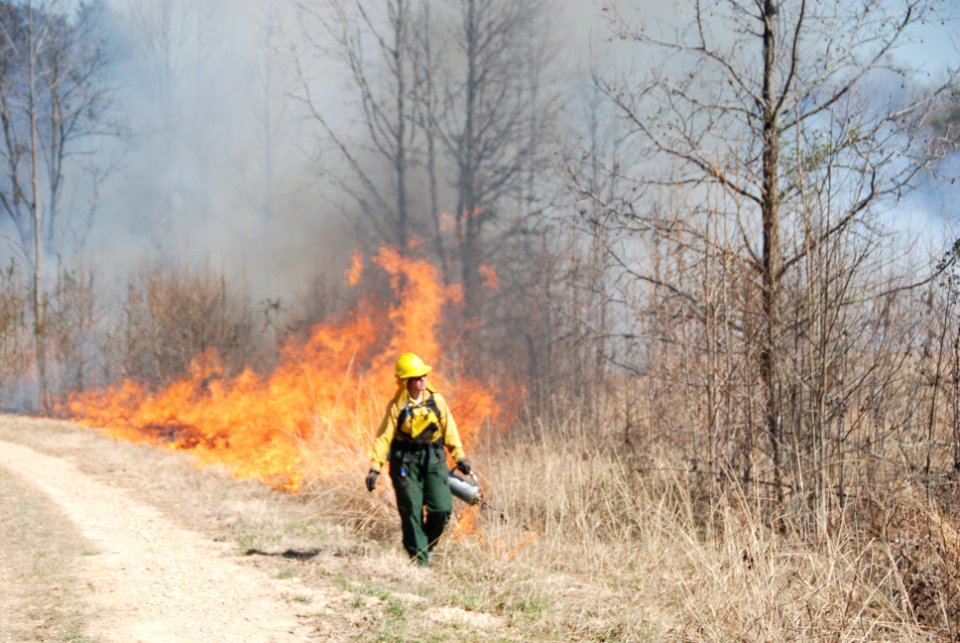 Breathing Fire Back into the Land