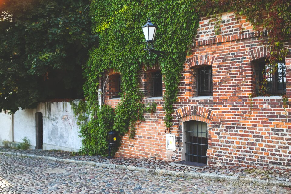 Bricks street torun