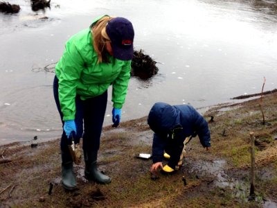 Volunteers planting at the site of the former Hyde Pond dam.