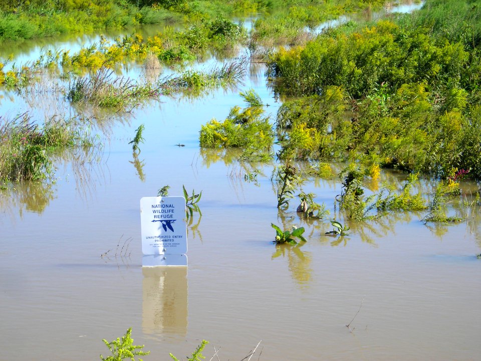 Flooding at WallKill River Refuge