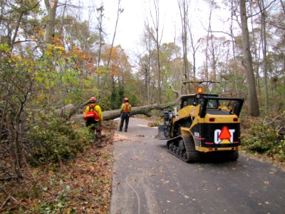 Tree clearing at Target Rock National Wildlife Refuge (NY)
