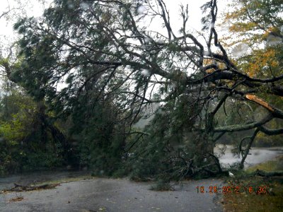 Hurricane Sandy hit Chincoteague National Wildlife Refuge (VA) photo