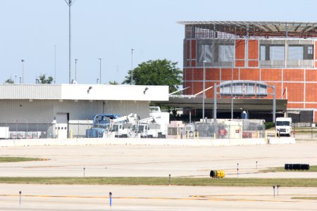 Whimbrel (foreground left), Gerald R. Ford Int'l airport, June 14, 2012