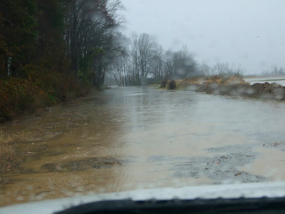 Flooding at Prime Hook National Wildlife Refuge (DE)