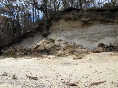 Dune damage at Target Rock National Wildlife Refuge (NY)