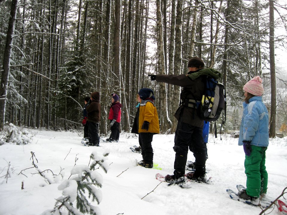 Winter Ecology Education