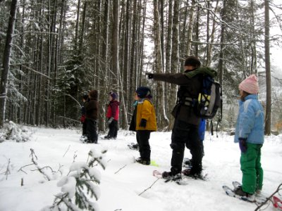 Winter Ecology Education
