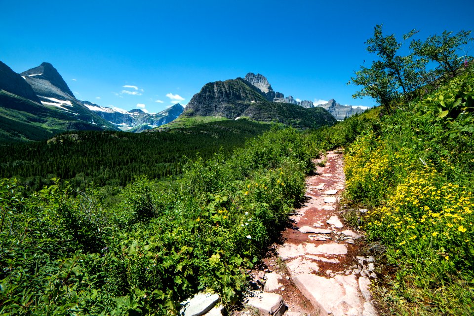 Iceberg Lake Trail