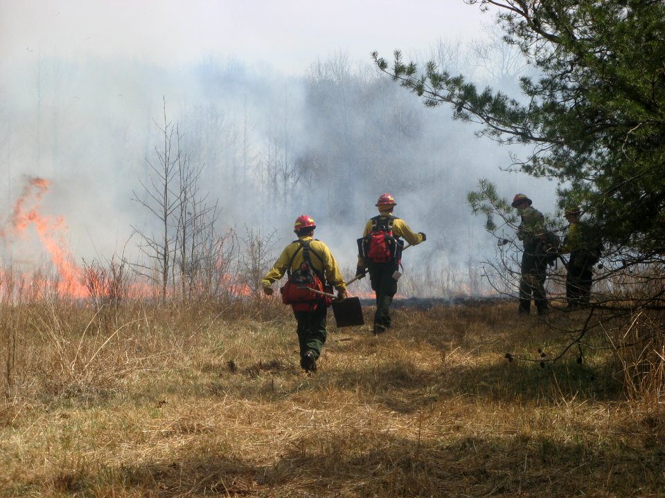 Walking burn perimeter