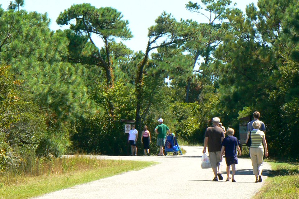 Walking to the Beach at Chincoteague