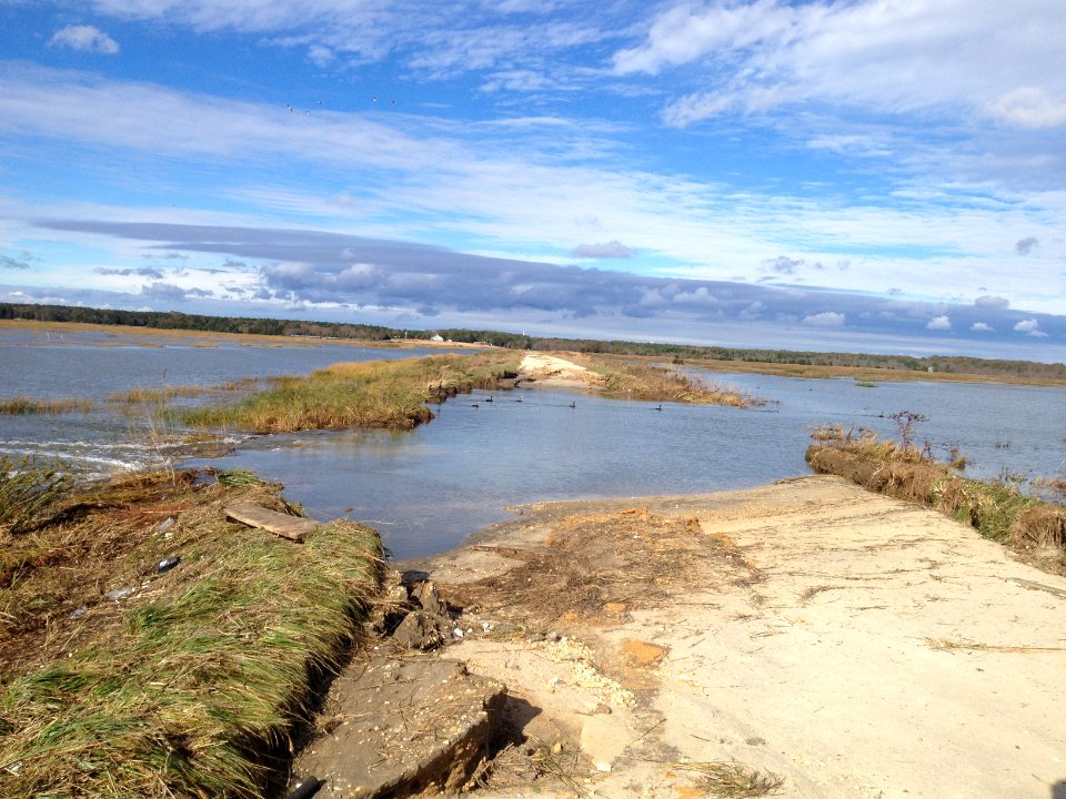Hurricane damage at Edwin B. Forsythe Refuge (NJ)