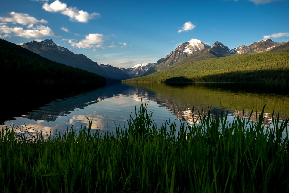 Bowman Lake - Good Evening