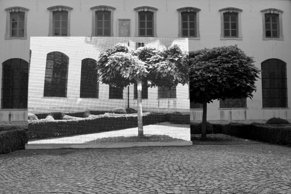 Angel vergara the nekker tree tree