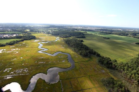 Day 3 - Cape May NWR Flyover