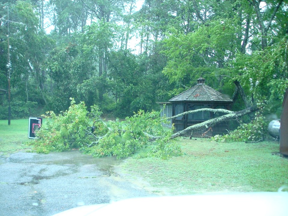 Trees down and debris at refuge housing.