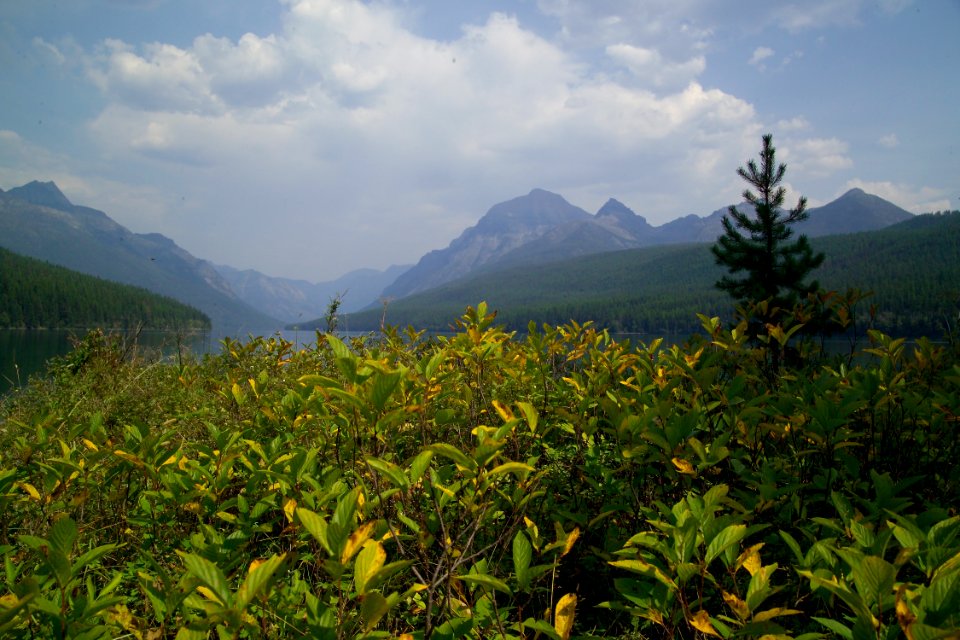 Bowman Lake