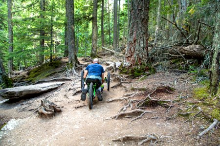 Avalanche Lake Hike with Off-road Wheelchair 00 photo