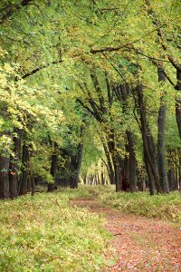 Jeep Trail at Missisquoi National Wildlife Refuge