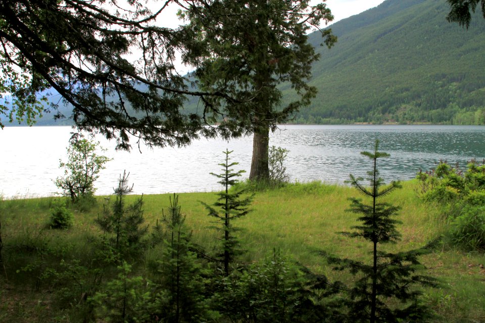 Ryan Beach-Meadow, Lake McDonald - 2 [Near the West Entrance to the park.]
