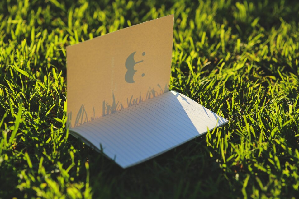 Cards grass page