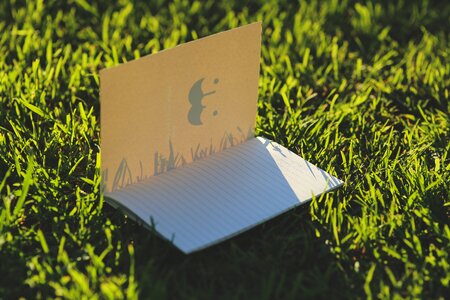 Cards grass page