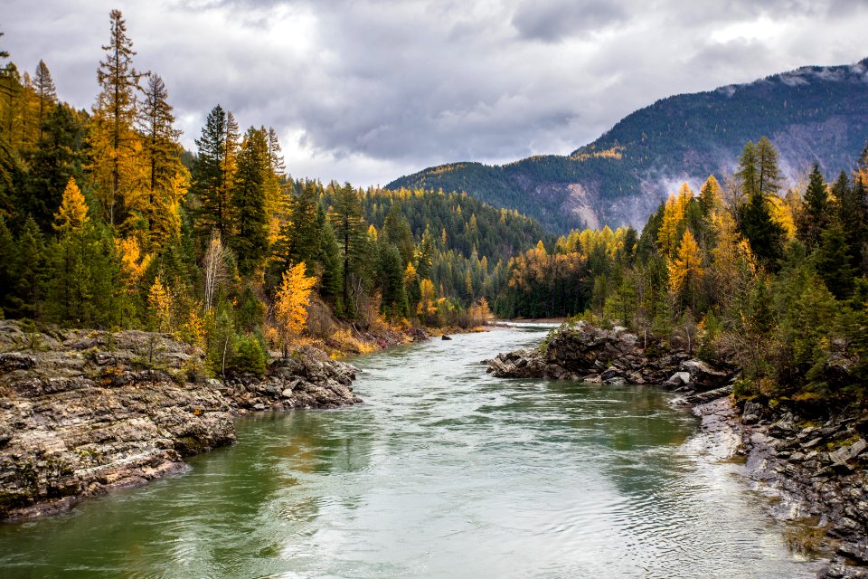 Middle Fork of the Flathead From the Belton Bridge (2)