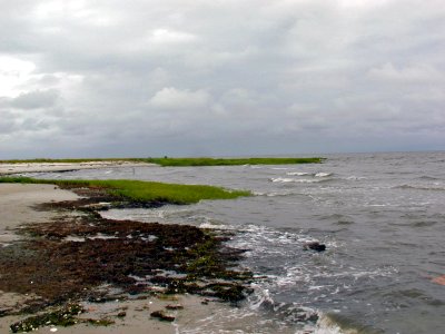Shoreline