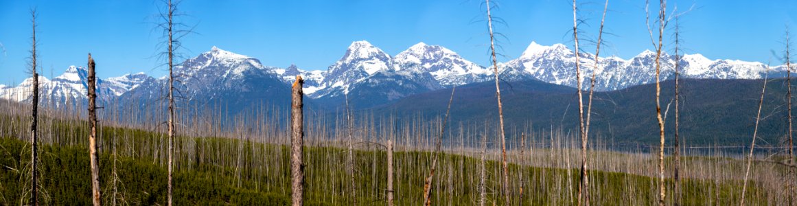 View From Camas Creek Road Panorama 4.19.16