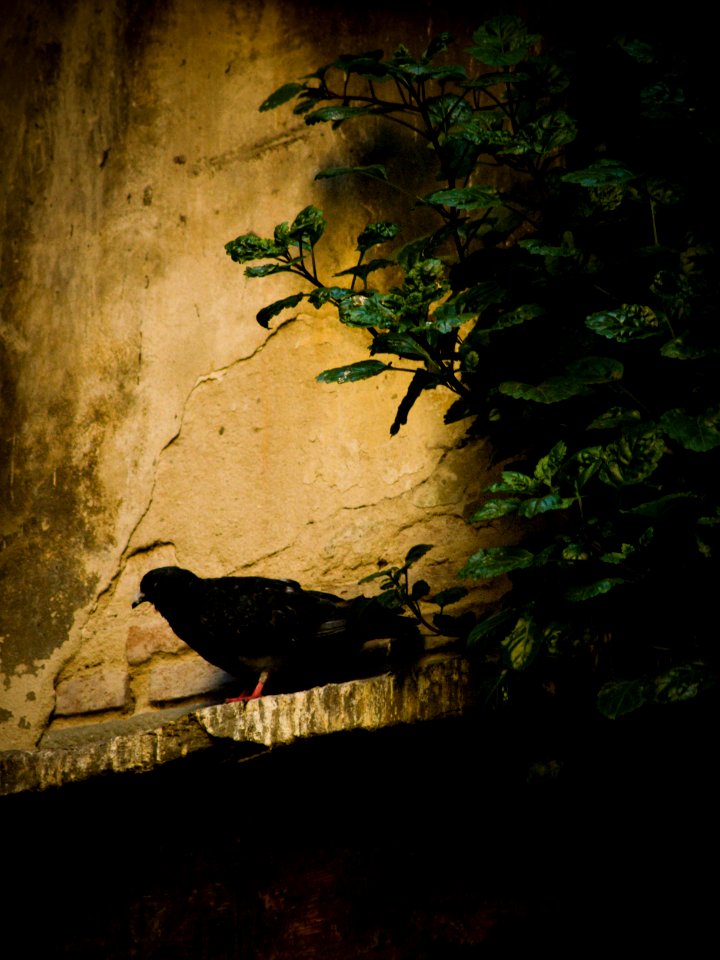 20070523-49