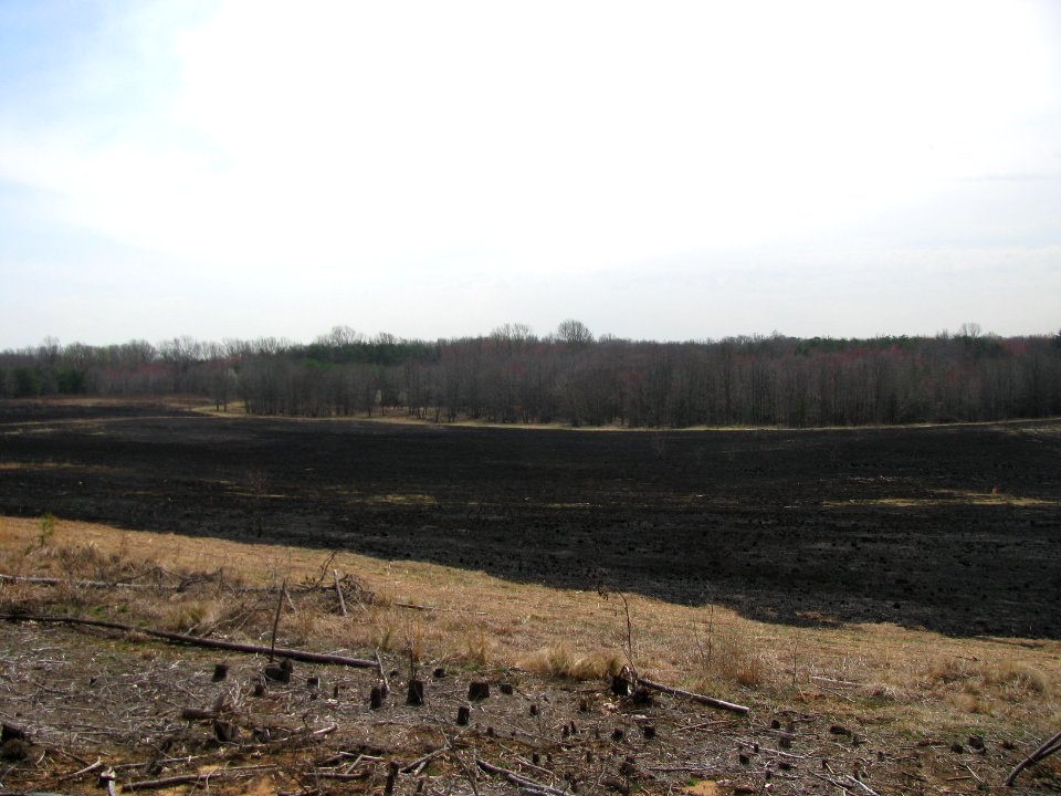 Successful Controlled Burn