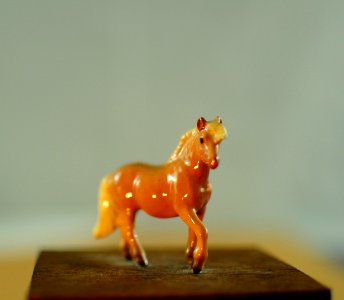 Mini Horse