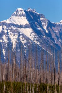 Mt. Cannon From Camas Road