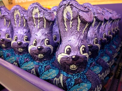 Chocolate bunnies easter egg easter decoration