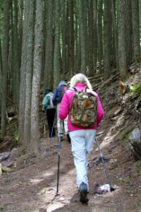 Hikers on the Avalanche Lake Trail