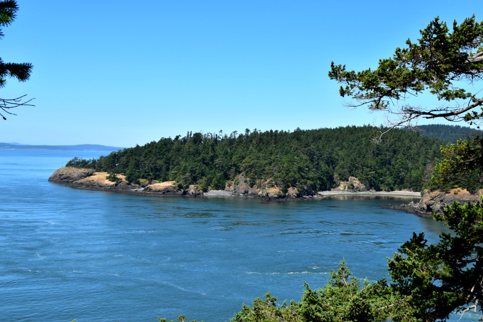 DSC 0064