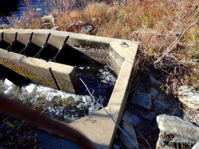 Potter Hill Dam Fishway to be assessed
