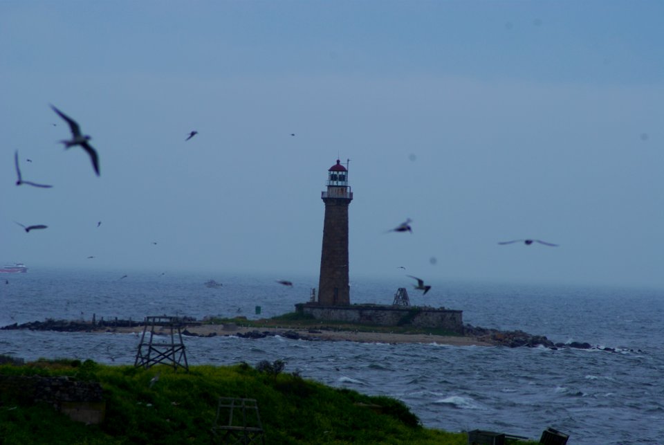 Great Gull Island, NY