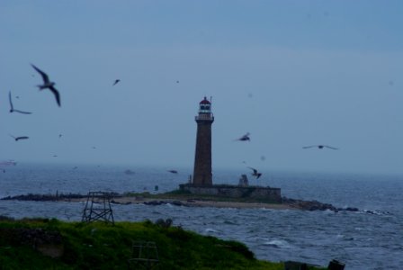 Great Gull Island, NY