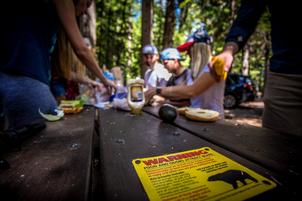 Keep a Clean Camp for the Bears