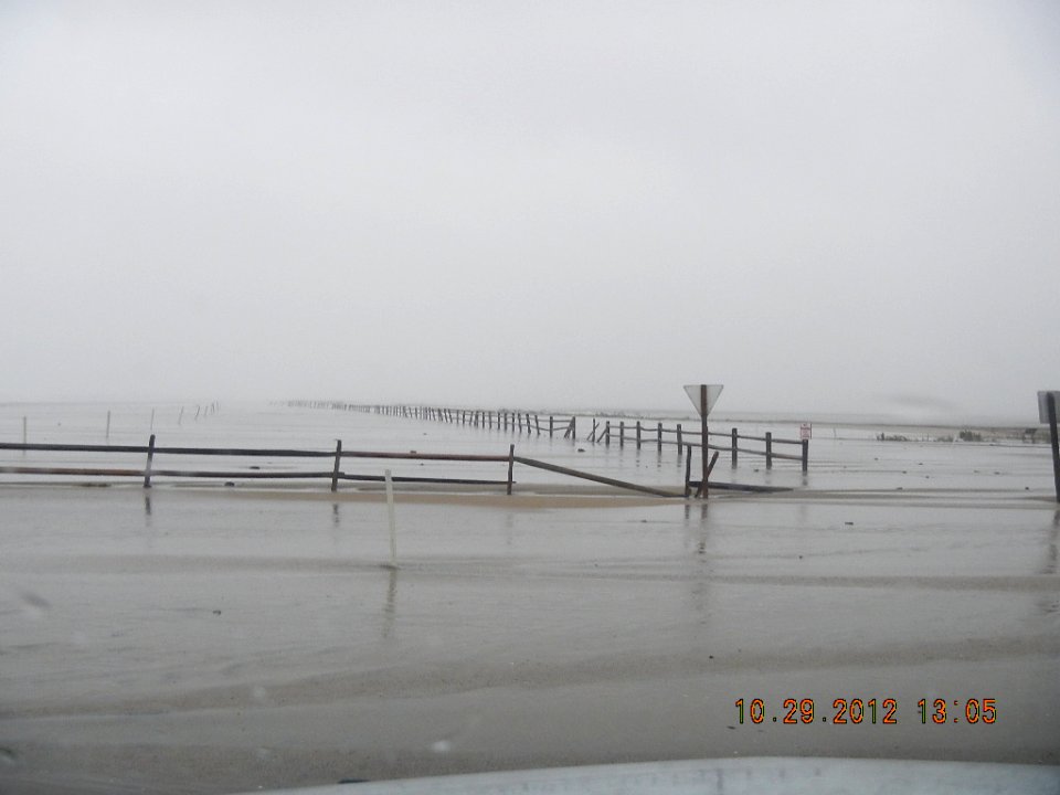 Parking Lot 2 at Chincoteague National Wildlife Refuge (VA)
