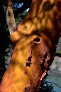 DSC 0066
