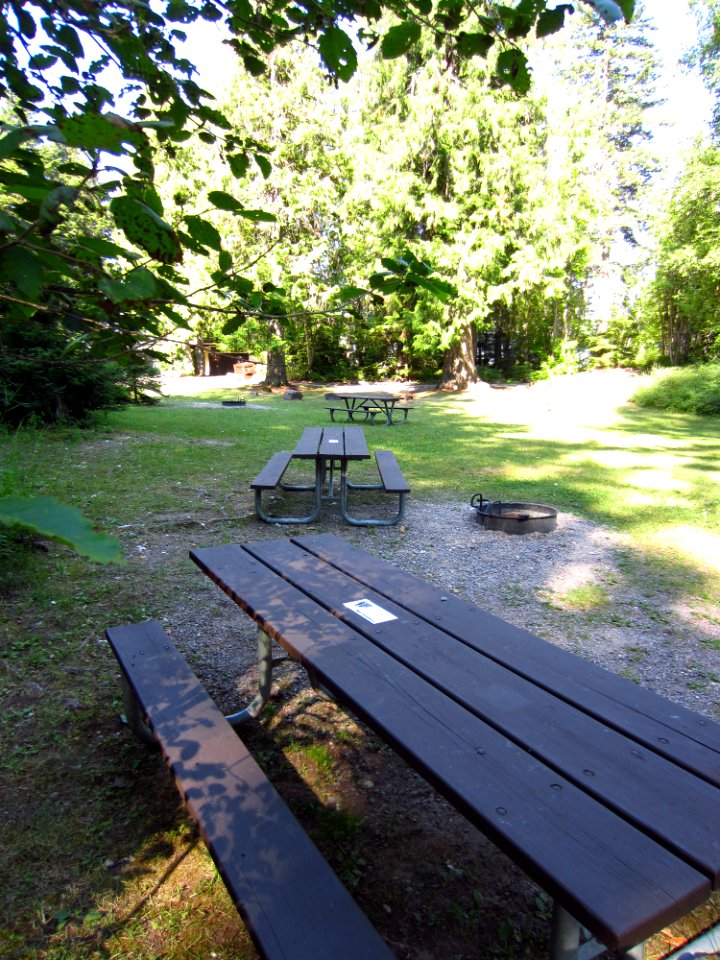Sprague Creek Picnic Area, Lake McDonald - 10