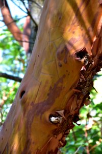 DSC 0070
